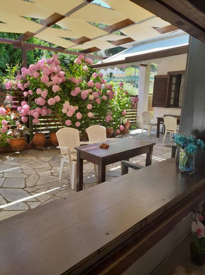 Eleni Studios Agios Ioannis  Exterior photo